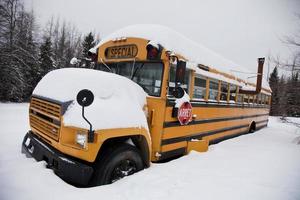 Abandoned weird school bus photo