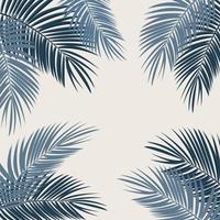 Palm Leaf Vector Background Illustration