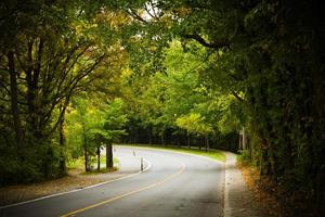 Asphalt winding curve road in a beech forest photo