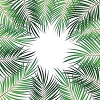 Ilustración de fondo de vector de hoja de palma
