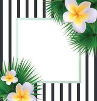 Frame with Palm Leaf Vector Background Vector llustration