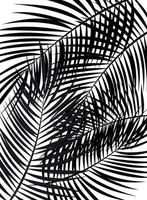 Palm Leaf Vector Background Illustration