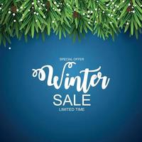 Winter Sale Background Special Offer Banner Background for Business and Advertising. Vector illustration