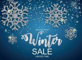 Winter Sale Background Special Offer Banner Background for Business and Advertising. Vector illustration