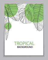 Abstract tropical banana and monstera palm leaves tropical background. Vector Illustration