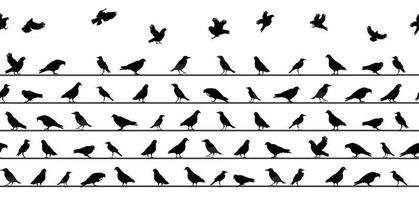 Birds Sitting on Power Lines. Seamless Pattern. Vector Illustration.