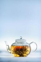 Tea Flower in a Clear Teapot