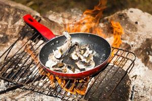 Small Trouts Cooking on a Campfire photo