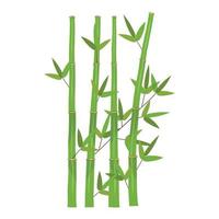 Colorful Stems and Bamboo Leaves. Vector Illustration.