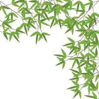 Colourful Bamboo Leaves. Vector Illustration.