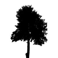 Silhouette Isolated on White Background. Vector Illustration.