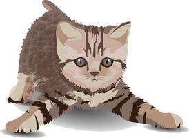 A  small kitten looks with bright eyes ,and stand on  the floor vector