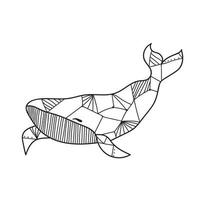 Graphic whale. Black linear whale on white vector