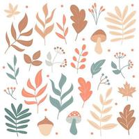 Big set of Autumn elements - mushrooms and plants - on a white background vector