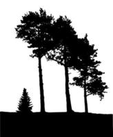 Tree Silhouette Isolated on White Backgorund. Vecrtor Illustration. vector