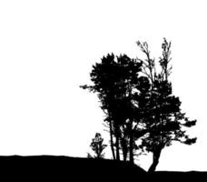 Tree Silhouette Isolated on White Backgorund. Vecrtor Illustration. vector