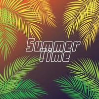 Summer Time Palm Leaf Vector Background Illustration