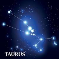 Symbol Taurus Zodiac Sign. Vector Illustration.