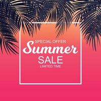 Summer Sale concept Background with Palm Leaves. Vector Illustration