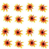 Colorful yellow echinacea on white background. Seamless pattern. Vector illustration