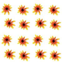 Colorful yellow echinacea on white background. Seamless pattern. Vector illustration