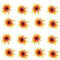 Colorful yellow echinacea on white background. Seamless pattern. Vector illustration