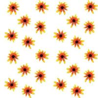 Colorful yellow echinacea on white background. Seamless pattern. Vector illustration