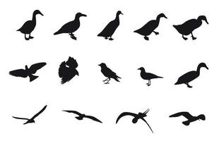 Black and White Silhouettes of various birds. Vector Illustration