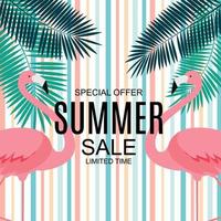 Summer Sale concept with Colorful Cartoon Pink Flamingo Background. Vector Illustration