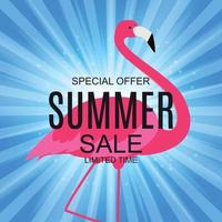 Summer Sale concept with Colorful Cartoon Pink Flamingo Background. Vector Illustration