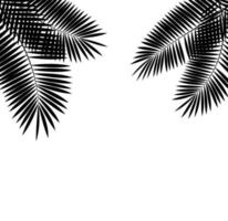 Ilustración de fondo de vector de hoja de palma