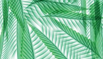 Palm Leaf Vector Background Illustration