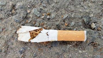 Close up of a broken cigarette butt on asphalt with copy space. International No Tobacco Day. World Day against cigarettes, nicotine and tobacco