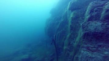 Freitaucher, der eine Seite einer Unterwasserklippe in einen Steinbruch erkundet video