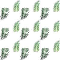 Palm Trees on White Background. Seamless pattern. Vector Illustration