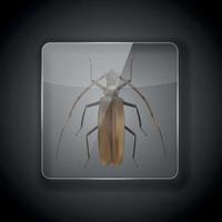 Glass Frame on dark Background with long-haired cockroach, bug. Vector Illustration