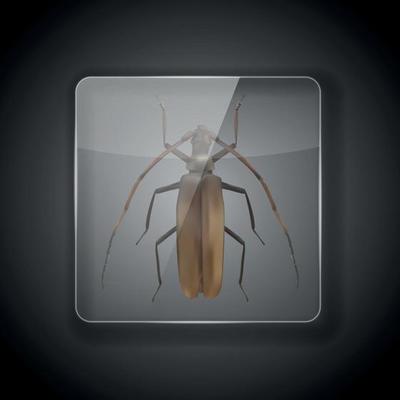 Glass Frame on dark Background with long-haired cockroach, bug. Vector Illustration