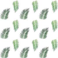 Palm Trees on White Background. Seamless pattern. Vector Illustration