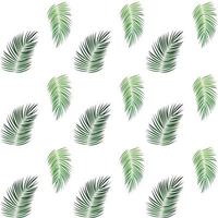 Palm Trees on White Background. Seamless pattern. Vector Illustration