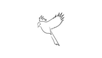 ilustración de línea de pájaro volador vector