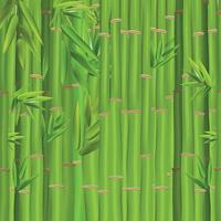 Colorful Stems and Bamboo Leaves Background. Vector Illustration