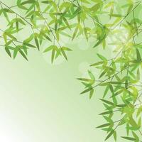tallos de colores y fondo de hojas de bambú. ilustración vectorial vector