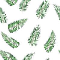 Palm Leaf Vector Background Illustration