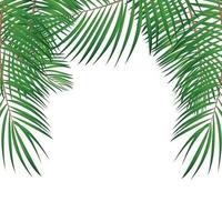 Frame with Palm Leaf Vector Background Isolated Illustration