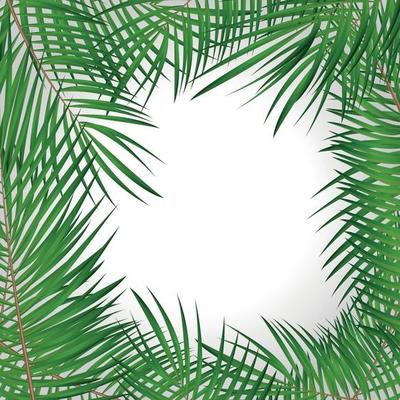 Frame with Palm Leaf Vector Background Isolated Illustration