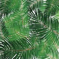 Palm Leaf Vector. Seamless pattern. Background Illustration EPS10 vector