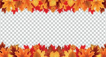 Autumn leaves  border frame with space text on transparent background. Can be used for thanksgiving, harvest holiday,  decoration and design. Vector Illustration