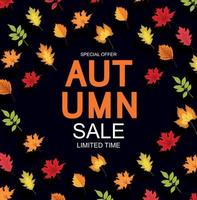 Abstract Vector Illustration Autumn Sale Background with Falling Autumn Leaves