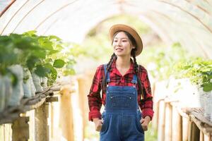 Hermosa mujer campesina comprobando la granja de fresas foto