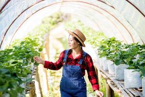 Hermosa mujer campesina comprobando la granja de fresas foto